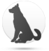 Köpek