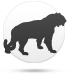 Kaplan